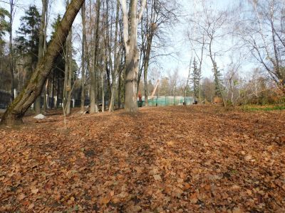 Скотный двор (два основания)