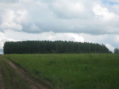 Священная роща