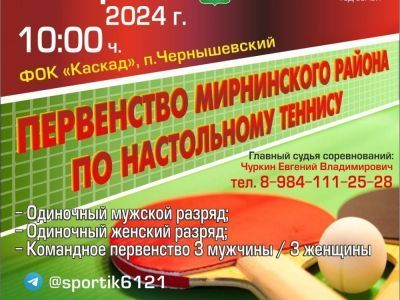 6 апреля в Чернышевском будут соревноваться теннисисты