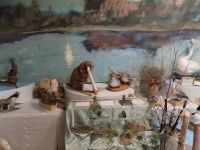 Музей истории и культуры Сысольского района