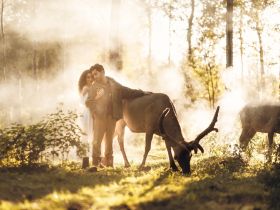 День на Диком западе
