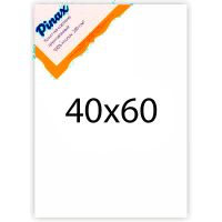 Холст грунтованный на картоне Pinax 280 г 40x60 см
