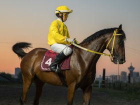 Якутский кинопродюсер спас скакуна от убоя и сделал его главной звездой фильма