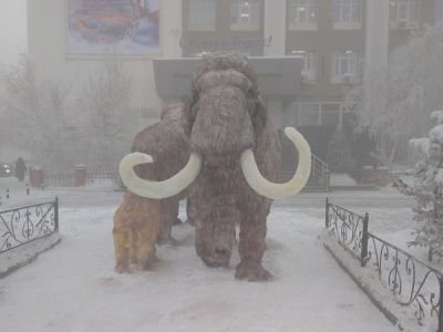 Мамонты в городе. Скульптуры древних животных украсили центр Якутска