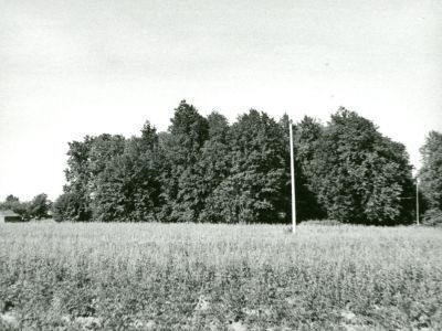 Усадьба Воскресенская слобода