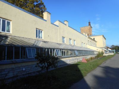 Оранжерея пальмовая