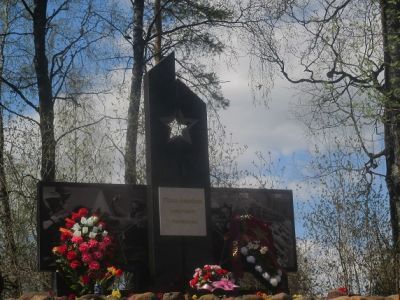 Одиночная могила воина Советской Армии, погибшего в период Великой Отечественной войны