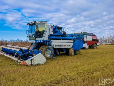 Научные разработки внедряют в сельхозпроизводство в Якутии