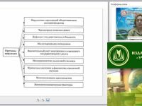 Международный вебинар "Обществознание. Роль государства в экономике"