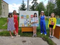 Библиотека села Арейского