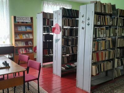 Копенская сельская библиотека