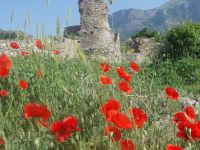 Музей под открытым небом «Крепость Фуна»