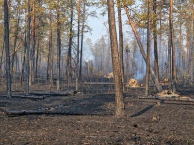 Беременных женщин и детей эвакуируют из села Оргет в Якутии