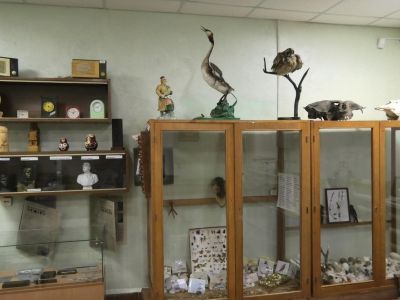 Районный народный краеведческий музей п. Светлого