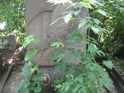 Могила Сварога Василия Семеновича (1883-1946)