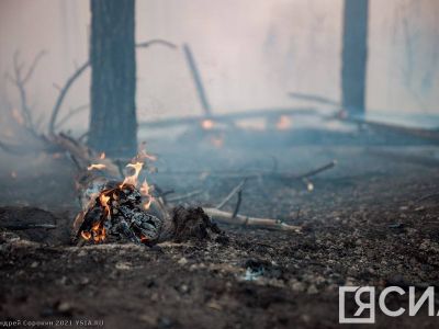 Штраф до полумиллиона и уголовный срок: в Якутии напомнили о запрете на выжигание сухой травы
