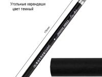 Карандаш угольный Acmeliae Ligth