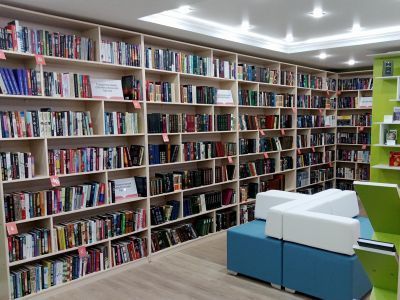 Большекосульская модельная библиотека