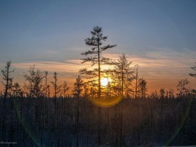 Стали известны подробности стрельбы в Верхневилюйском районе