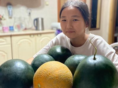 Жительница Эвено-Бытантайского района выращивает дыни, арбузы и клубнику