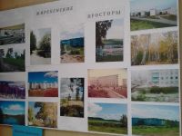 Библиотека п. Жирекен