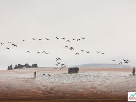 Каменные Люди Сундуруна