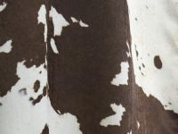 Блузка с анималистичным принтом, Оранжевый