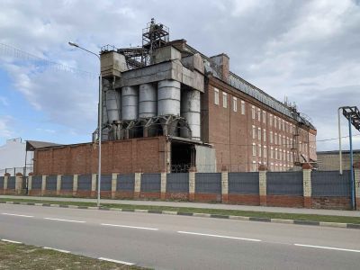 Здание мельницы паровой Немсельскосоюза