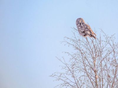 Антип Водогон: что можно и нельзя делать 24 апреля