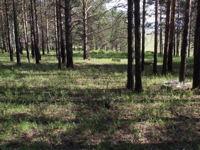 Дархадэ тайлаган