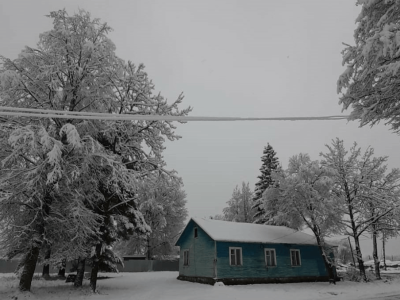 Алексеевская сельская библиотека