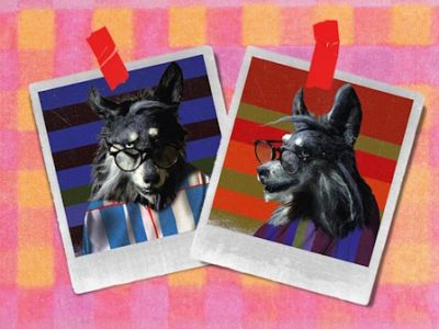 Три поросёнка. Ой