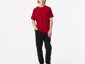 Мужская футболка Lacoste из хлопка