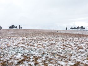 Арктическая снегоходная экспедиция «К Каменным Людям Сундуруна через кряж Суор Уйата». Сопутствующая рыбалка на трофейного арктического гольца