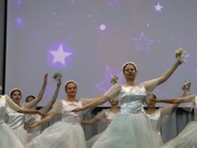 Дамы и господа. Программа