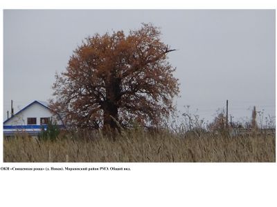 Священная роща