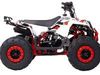 Квадроцикл WELS Thunder Evo M детский