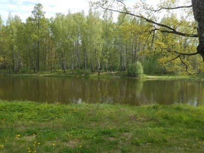 Мост Большой Березовый