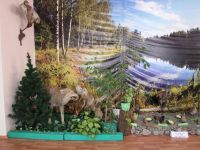 Краеведческий музей г. Краснослободска