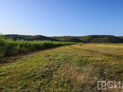 В России предложили бесплатно раздавать землю семьям после 10 лет брака