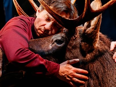 Утиная охота