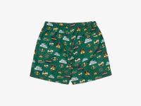 Мужские шорты Lacoste для плавания
