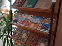 Библиотека № 8 с. Зарубино