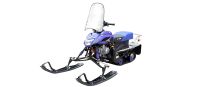 Снегоход IRBIS Dingo T125
