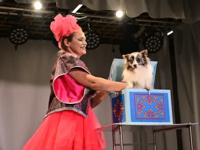 Билеты на Новогодний цирк (Павильон Республики Казахстан) / Событие | Афиша | ИнфоТаймс