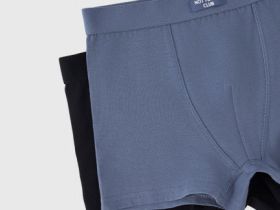 Трусы-боксеры для мальчиков, 2 шт., Голубой