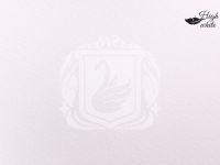 Бумага для акварели "White Swan" Fin 50х70 см 200 г 1 лист