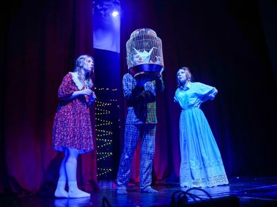 Билеты на Синяя птица (Дом ветеранов) / Театр | Афиша | ИнфоТаймс