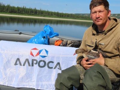 В защиту животных: АЛРОСА помогает сохранить редкий вид птиц