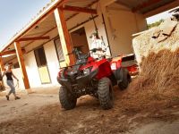 Квадроцикл YAMAHA Segway 300